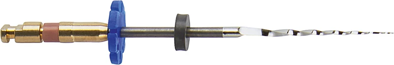 FKG RaCe   Packung  6 Stück 31 mm ISO 010, 6 %