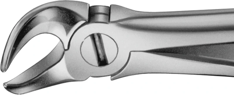 Anatomica-Zahnzangen  Stück  DG585R, Kuhhorn, für untere Molaren, tiefgreifend, von facial