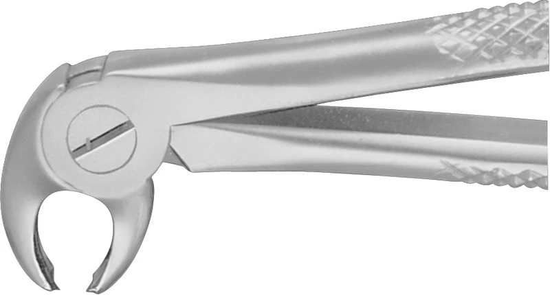 Kinder-Zahnzangen nach Gray  Stück  DK060R, untere Molaren