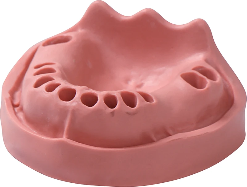 Modelle Gingiva  Stück  OK 12\2