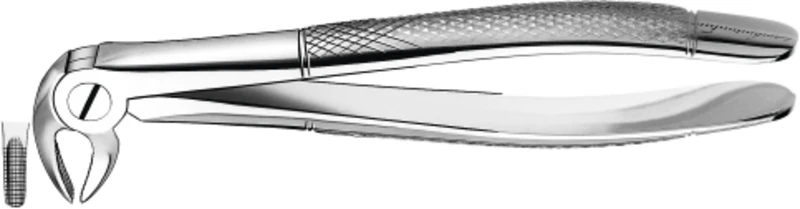 Zahnzangen  Stück  13, UK für Prämolaren, Frontzähne