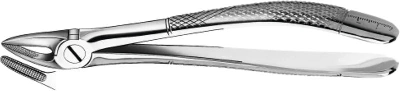 Zahnzangen  Stück  30, OK für Wurzeln