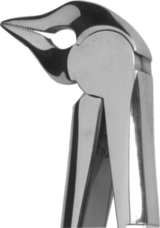 KKD® Zahnzangen  Stück  für UK-Wurzeln, anatomischer Griff, Figur 12-136
