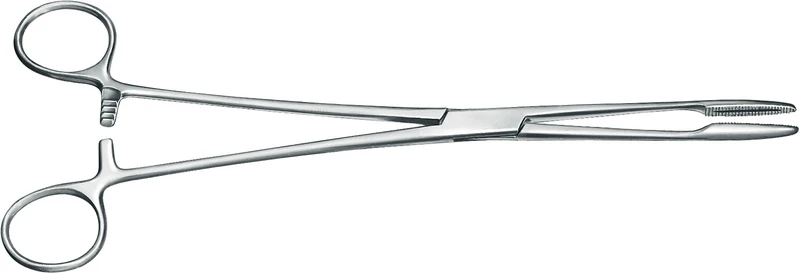 Kornzange nach Gross-Maier  Stück  14-223-22-07, 220 mm, gebogen