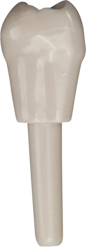 Schnappzahn Modell Molar  Packung  100 Stück Nr. 17