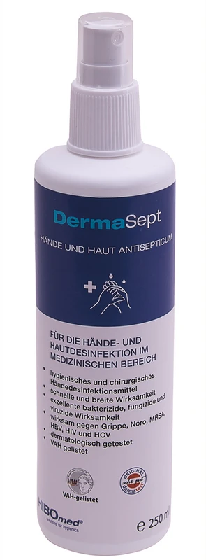 DermaSept  Sprühflasche  250 ml