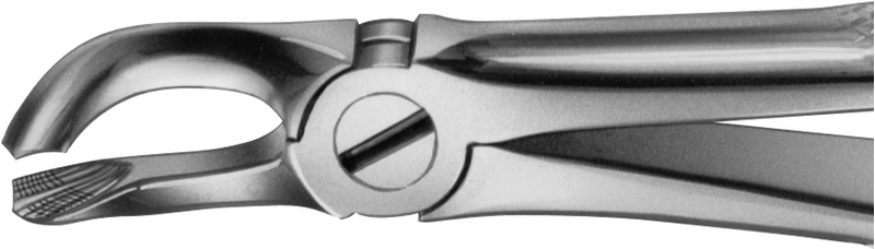 Anatomica-Zahnzangen nach Büchs  Stück  DH778R, für untere Weisheitszähne