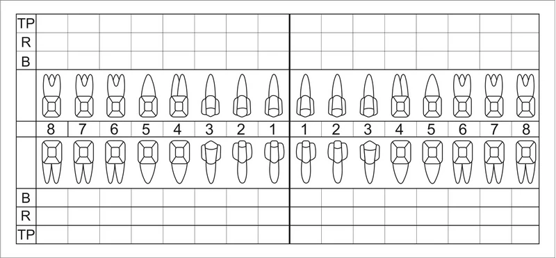 Zahnschema 059   Packung  120 Stück