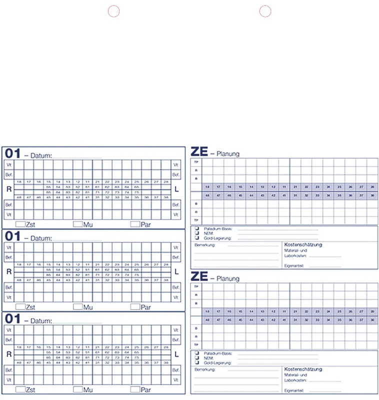 Kartei-Einlegeblätter  Packung  100 Stück A4, Typ H, GOZ
