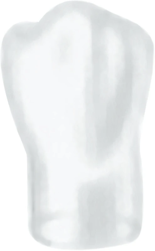 Strip-Kronen Color  Packung  5 Stück Nr. 344