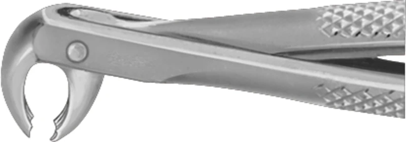 Kinder-Zahnzangen  Stück  DK061R, untere Molaren