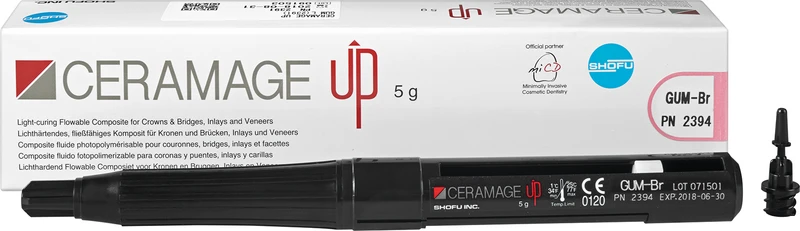 CERAMAGE UP  Spritze  5 g Komposit gum Br