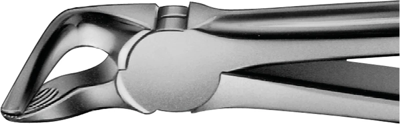Anatomica-Zahnzangen  Stück  DG751R, für untere Prämolaren und Wurzeln