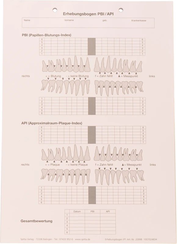 Erhebungsbogen PBI\ API   Stück  100 Blatt