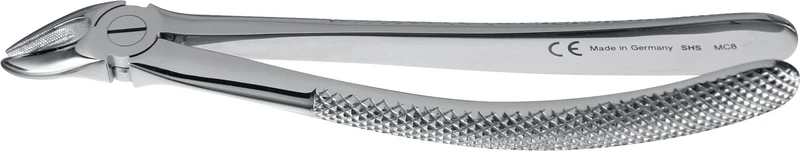 Zahnzangen Englische Form  Stück  152-7, OK Prämolaren