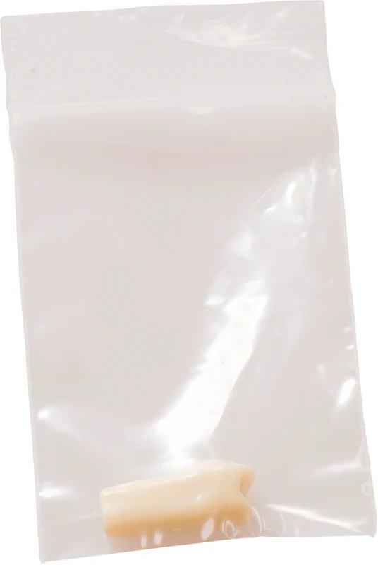 Gnathologe Modellzähne AG-3  Stück  OK-25