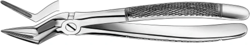 Zahnzangen  Stück  51 1\2, OK für Wurzelreste