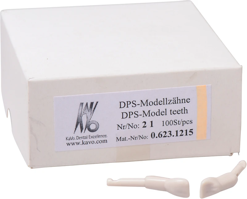 Schnappzahn Modell Schneidezahn  Packung  100 Stück Nr. 21
