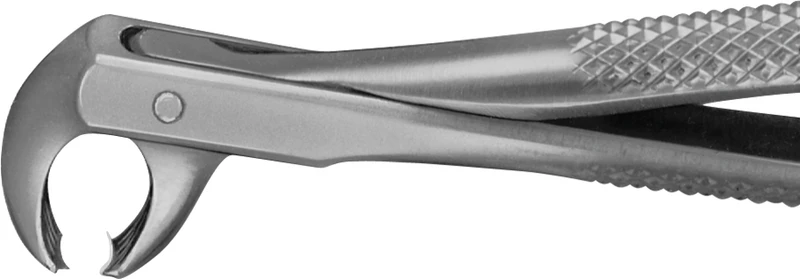 Anatomica-Zahnzangen  Stück  DG555R, für untere Molaren