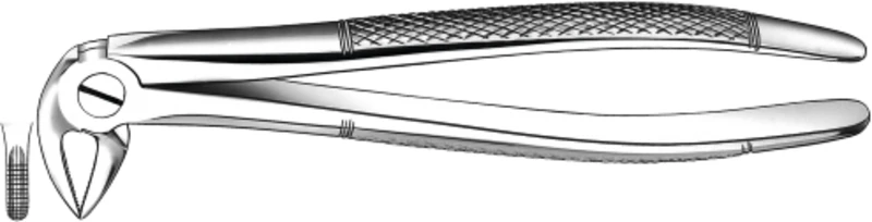 Zahnzangen nach Büchs  Stück  M2033, UK für Wurzeln