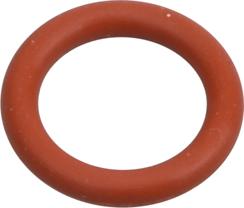 AIR-FLOW® Prophylaxis Master Dichtring  Stück  klein