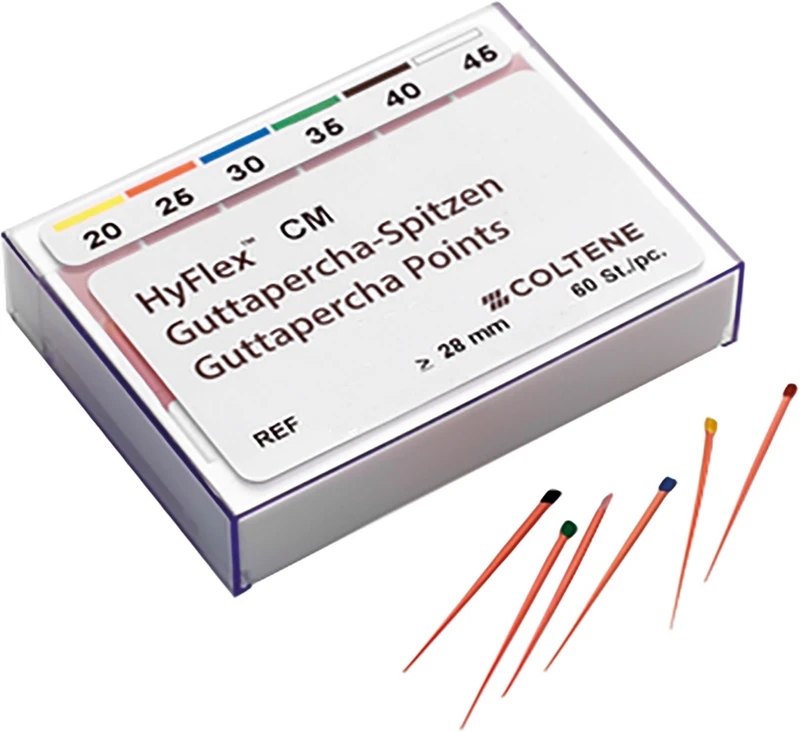 HyFlex CM Guttapercha-Spitzen  Packung  60 Stück, SB 0.06 ISO 030