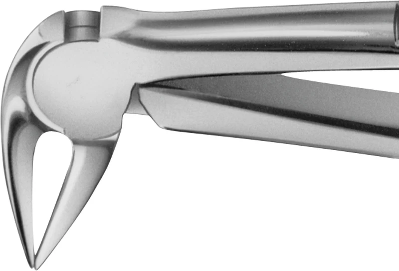 Anatomica-Zahnzange nach Feiner  Stück  DG729R, für untere Wurzeln, mit besonders langem Maul