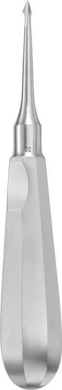 ExtraLux  Stück  DL319R, Lanzettenform