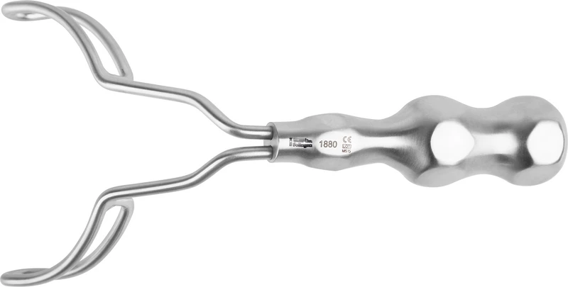 Vestibulumabhalter  Stück  1880