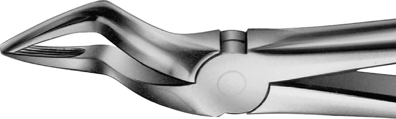 Anatomica-Zahnzangen  Stück  DG351R, für obere Wurzeln, kurzes schmales Maul