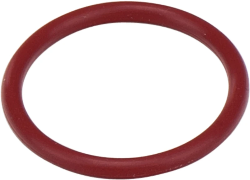 O-Ringe  Stück  24 x 2,5 mm, N70