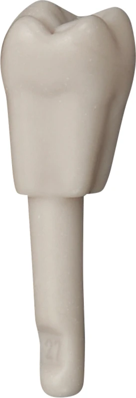 Schnappzahn Modell Molar  Packung  100 Stück Nr. 27