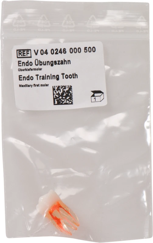 Endo Übungszahn  Stück