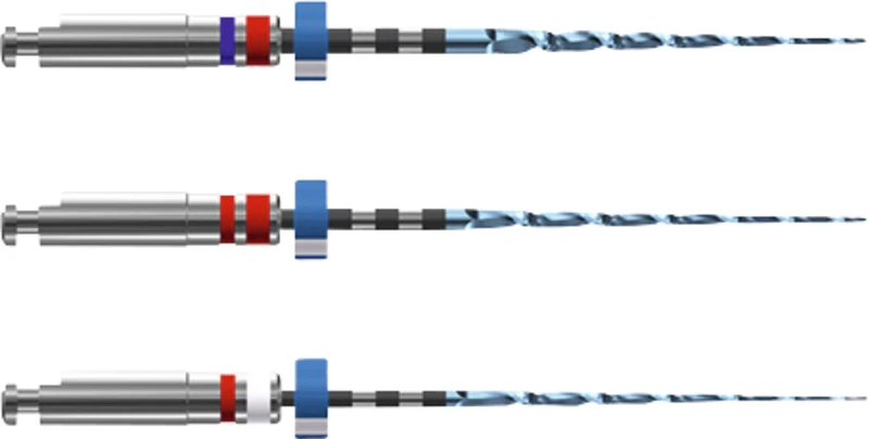 FKG RACE® EVO  Packung  3 Stück 25 mm ISO (015, 025) Taper.04, ISO 025 Taper.06