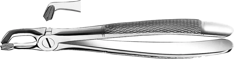 Zahnzangen  Stück  E79, UK für Weisheitszähne