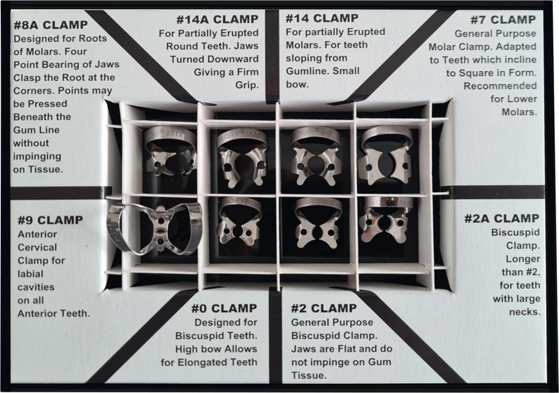 Ivory® Klammer  Kit