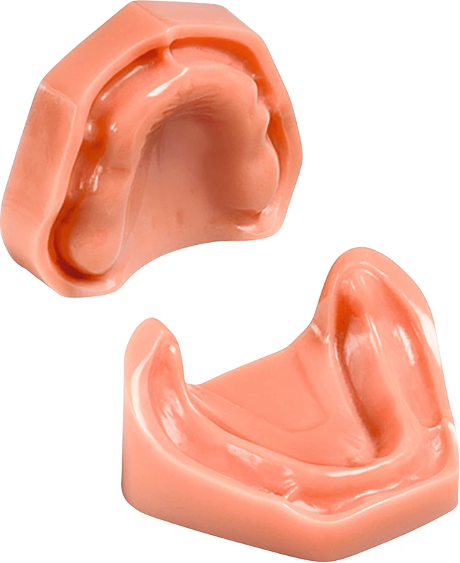 Arbeitsmodell B-3  Stück  OK\UK zahnlos, mit Buchse zum einschrauben