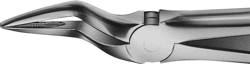 Anatomica-Zahnzangen nach Büchs  Stück  DH755R, für obere Wurzeln, langes Modell, schmales Maul