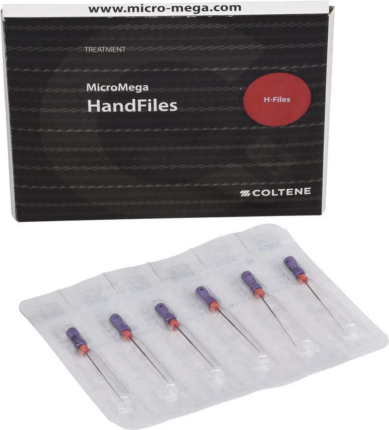 B6 H-Files  Packung  6 Stück 31 mm, ISO 010