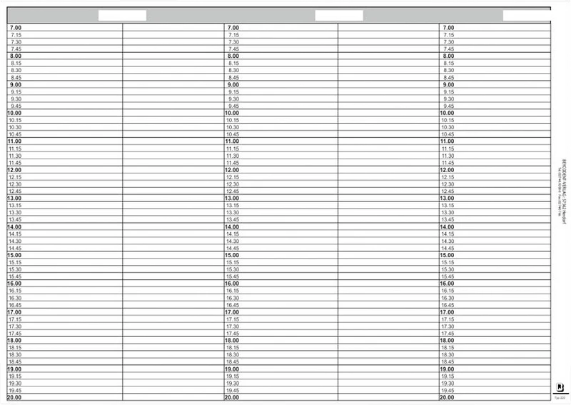 Terminblätter A3 für Ringbuch   Nachfüllpackung  53 Stück Typ 222