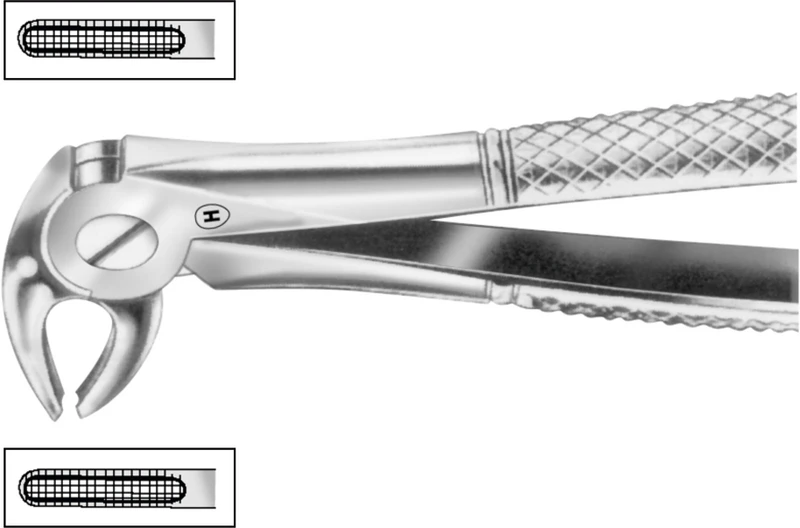 Zahnzangen  Stück  HSA 572-13, Figur 13, für untere Prämolaren, beide Seiten