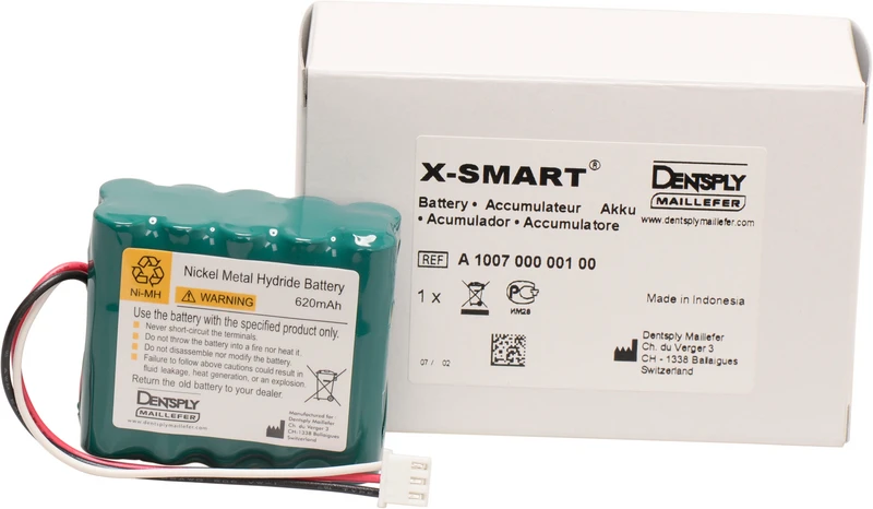X-SMART Batterie  Stück