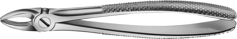 Anatomica-Zahnzangen  Stück  DG006R, für obere Schneide und Eckzähne, breit