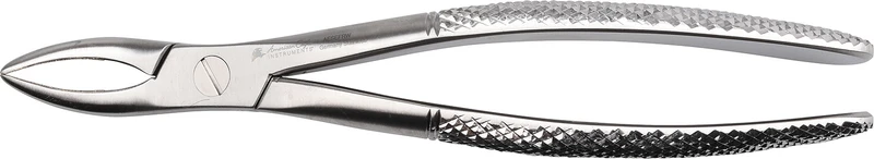 Wurzelzange nach Witzel  Stück  ergonomischer Griff