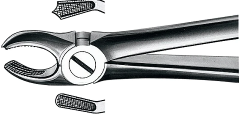 Zahnzangen nach Büchs  Stück  M2017, OK für Molaren rechts