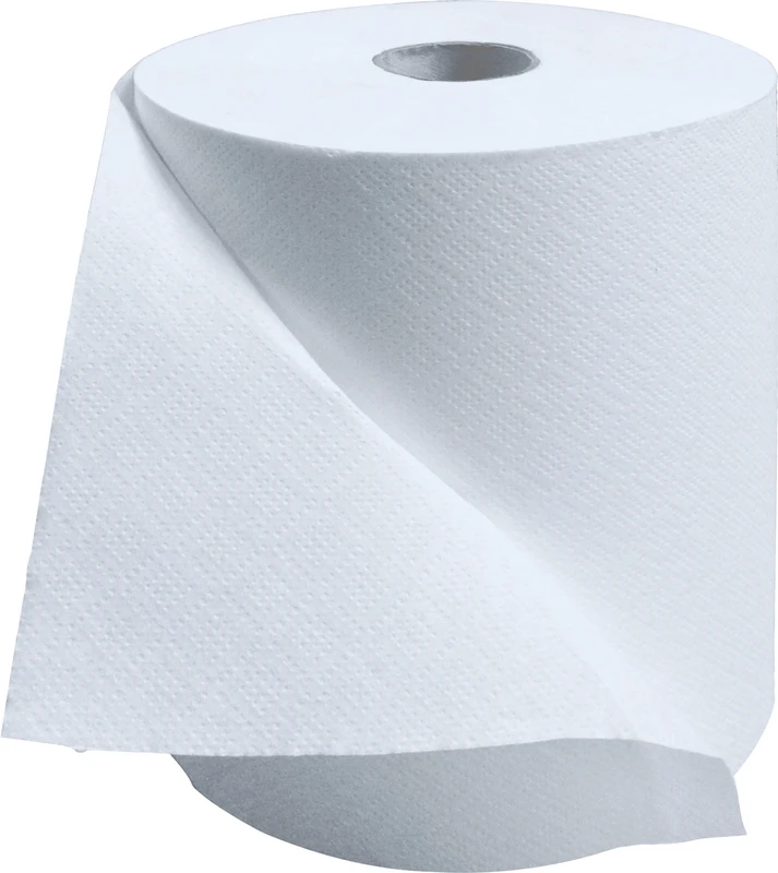 Handtuchpapierrolle  Karton  6 Stück 2-lagig, ca. 466 Blätter