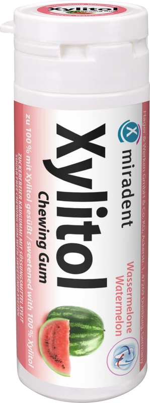 Xylitol Chewing Gum  Display  12 x 30 Stück Wassermelone