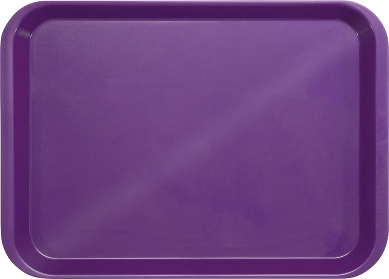 B-Lok Tray  Stück  Tray 34 x 24,5 x 2,2 cm, ohne Einteilung pflaume