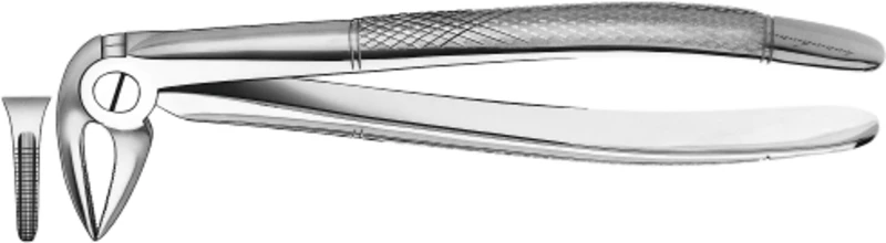 Zahnzangen  Stück  33 1\2, UK für Wurzeln