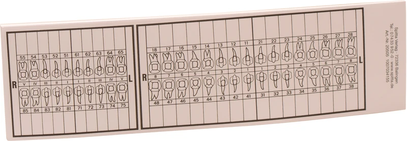 Zahnschema groß   Stück  25 Blatt